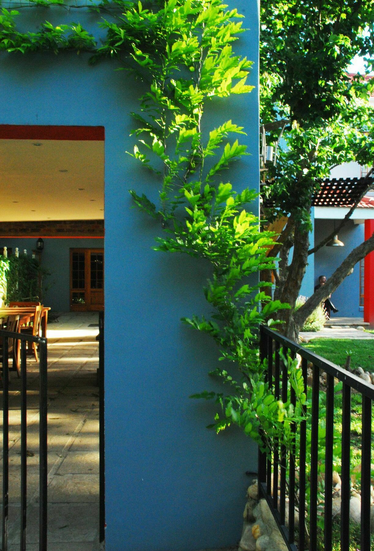 House Of House Guest House Stellenbosch Luaran gambar